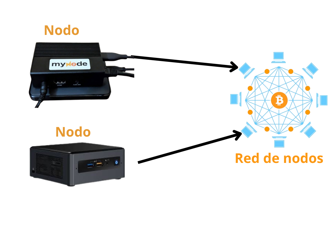 red de nodos